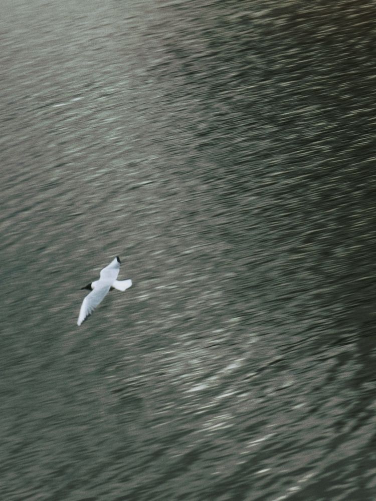 Photograph by Юлия Гусарова