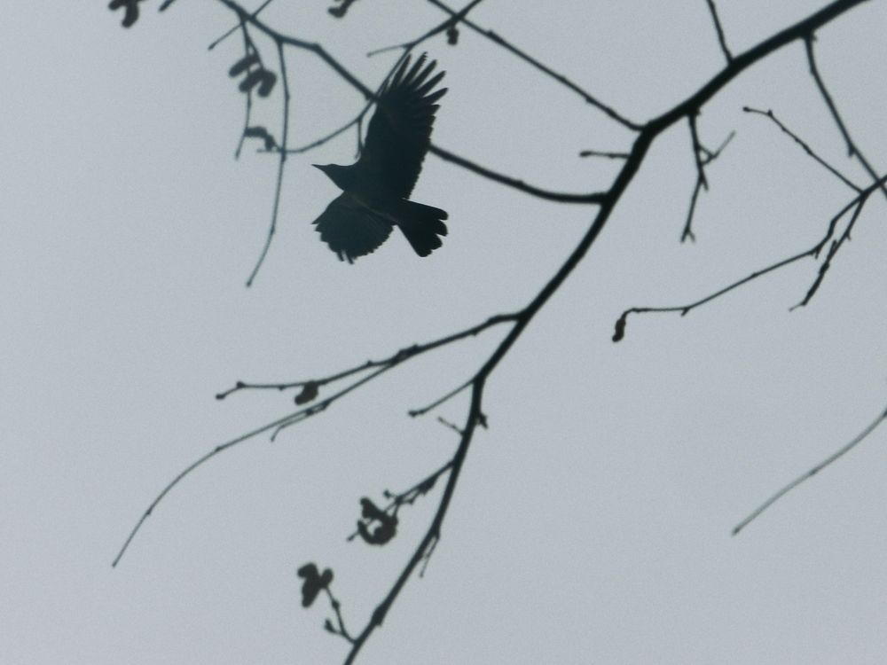 Photograph by Юлия Гусарова