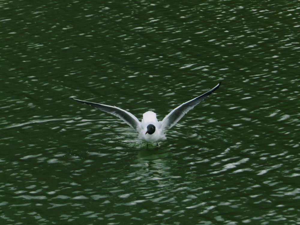 Photograph by Юлия Гусарова