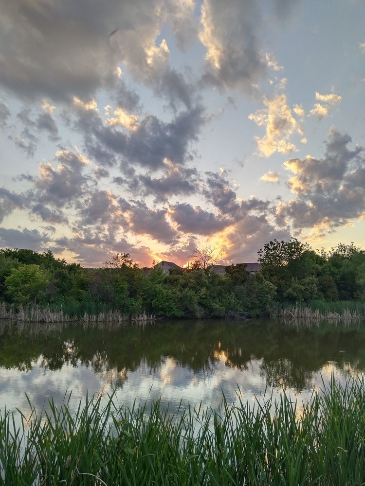 Photograph by Ольга Чернова