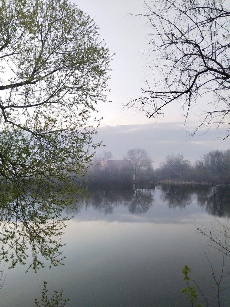 Photograph by Ольга Чернова