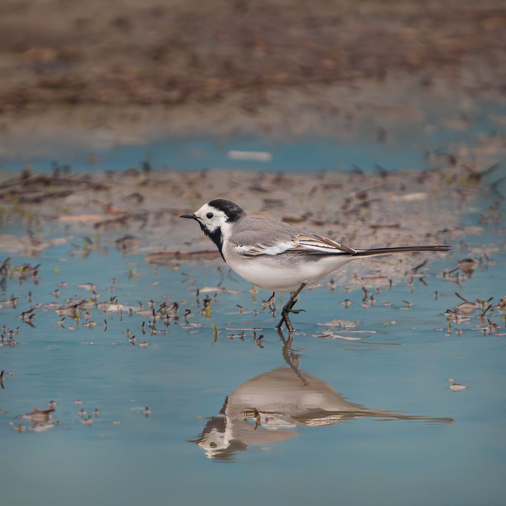 Photograph by Олег Белан