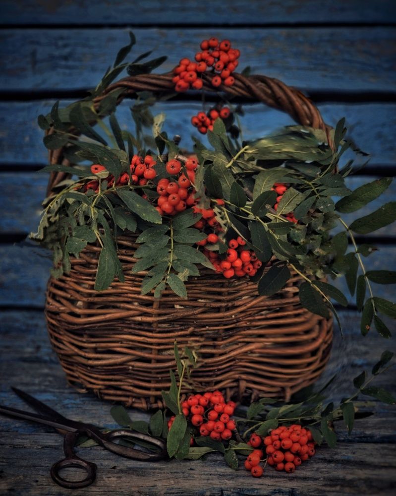 Photograph by Ольга Захарикова