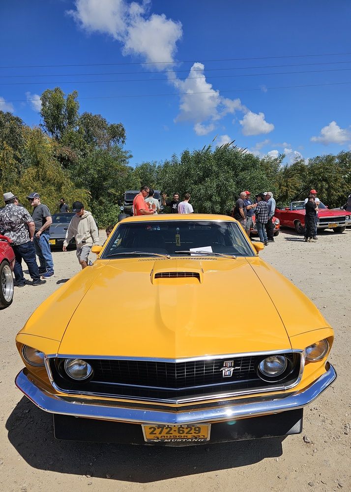 Фотография автора Oksana Podgorodetska