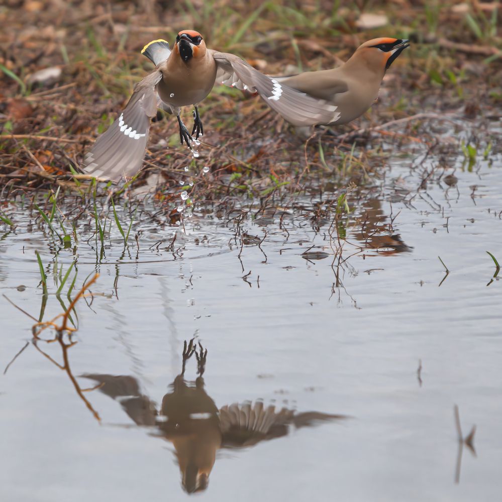 Photograph by Олег Белан