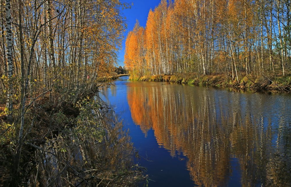 Фотография автора Юрий Кетель