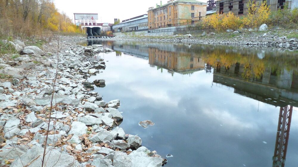 Photo #12306417