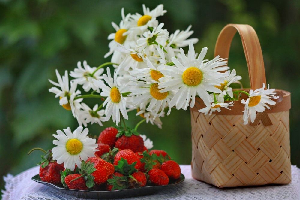 Photograph by Татьяна Бравая