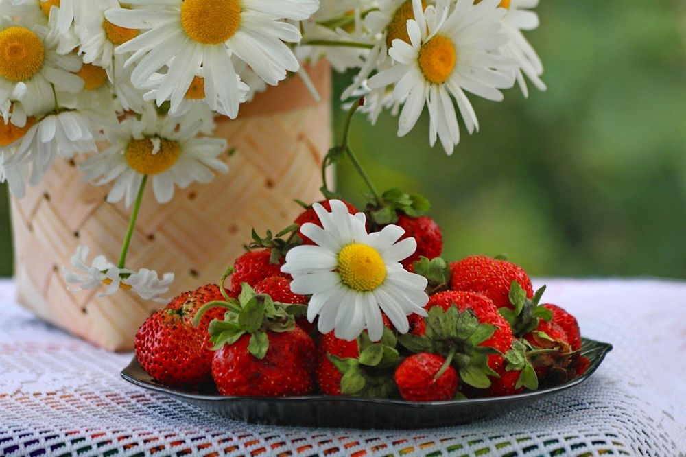 Photograph by Татьяна Бравая