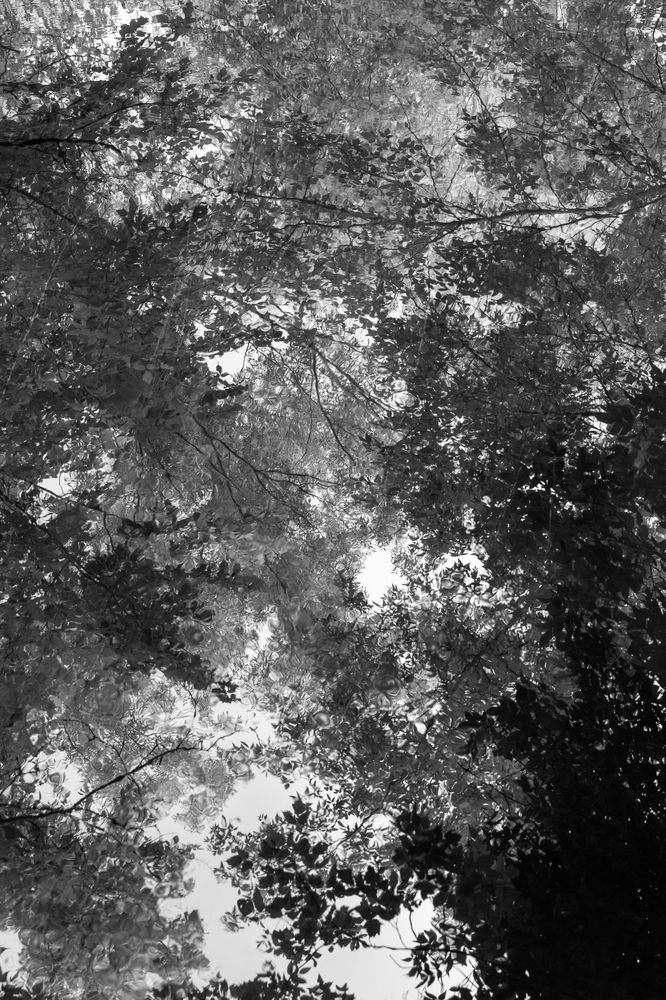 Photograph by Светлана Поливанова
