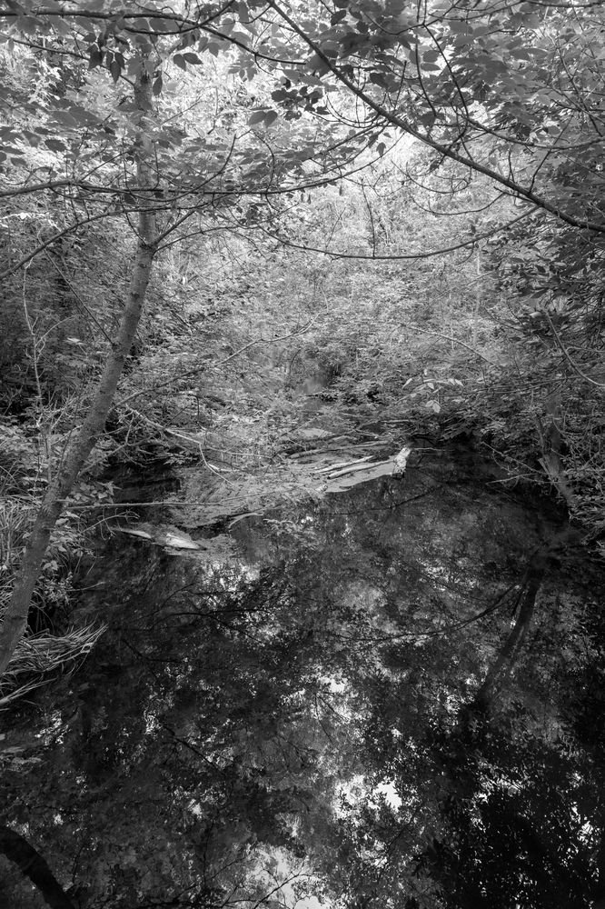 Фотография автора Светлана Поливанова