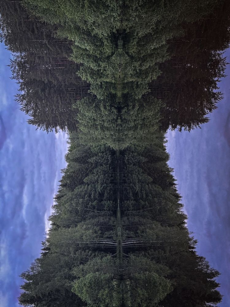 Photograph by Светлана Сергеева