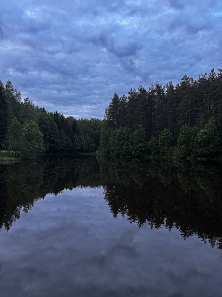 Photograph by Светлана Сергеева