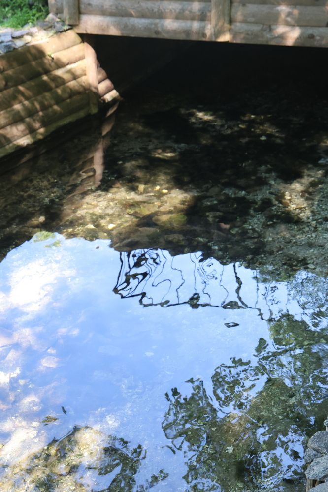 Фотография автора Светлана Поливанова