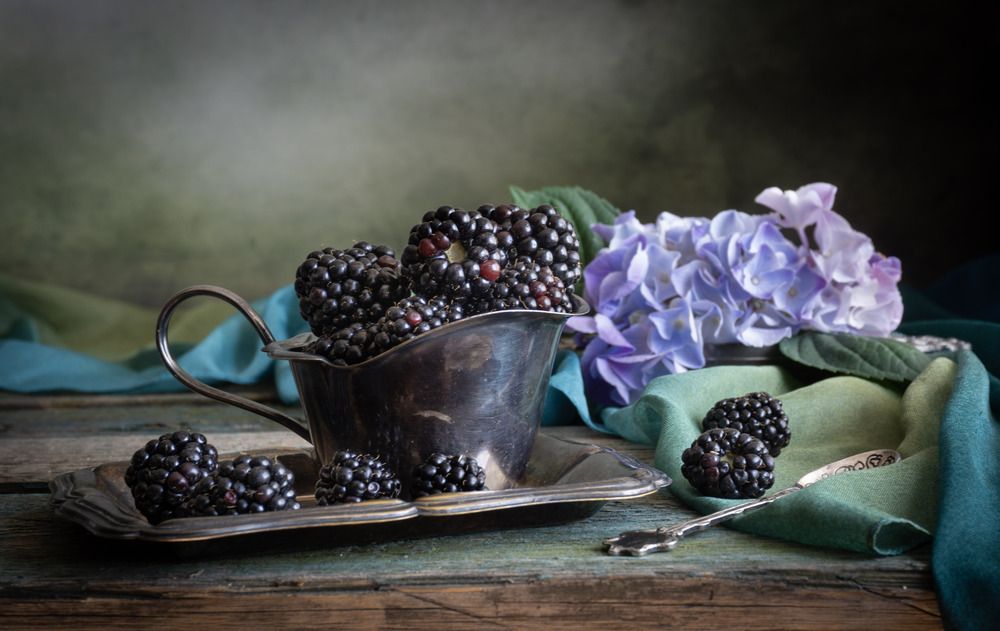 Photograph by Milla Walmus