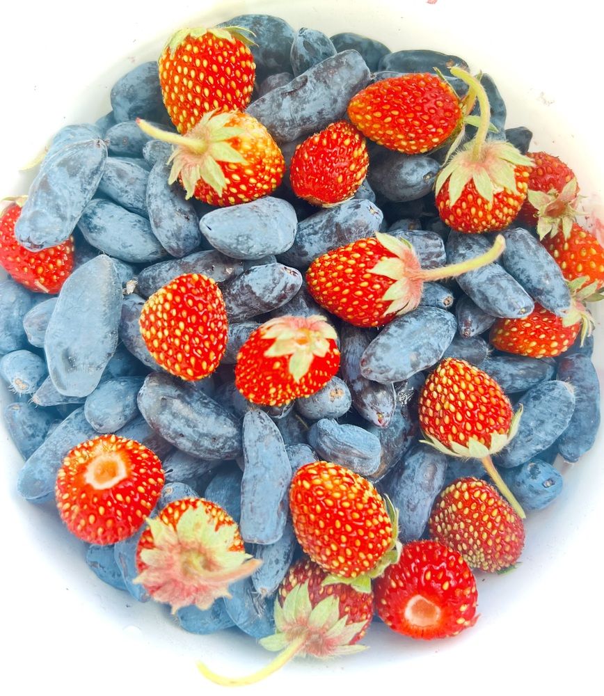 Photograph by Ольга Белоусова