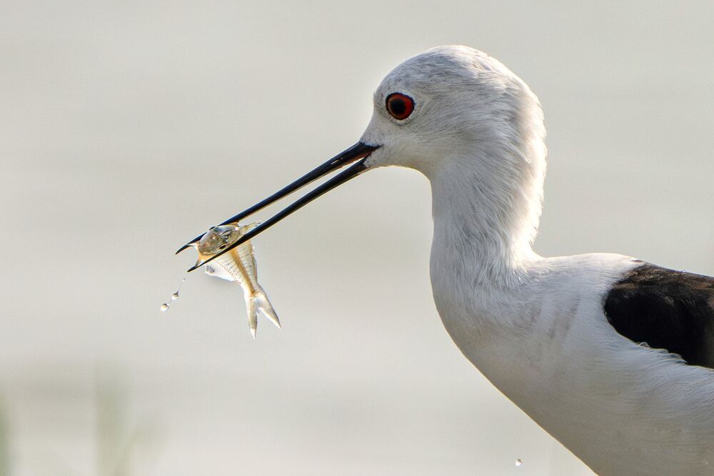 Photograph by mahadevan Arige