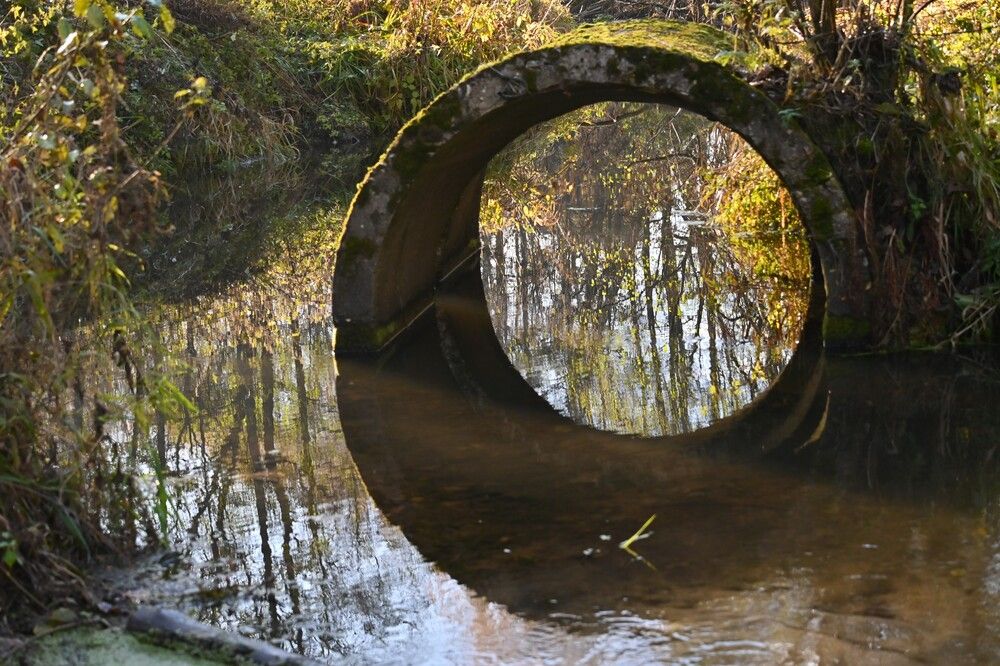 Фотография автора IRINA FILIPPOVA