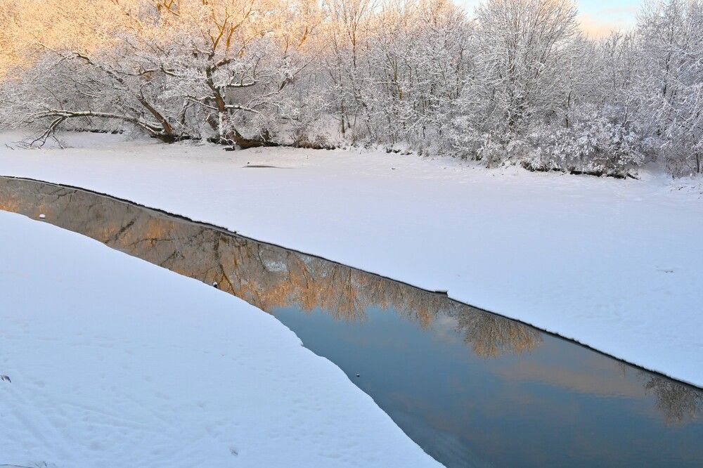 Фотография автора IRINA FILIPPOVA