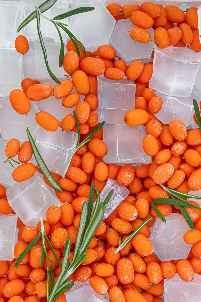 Фотография автора Доляна Горохова