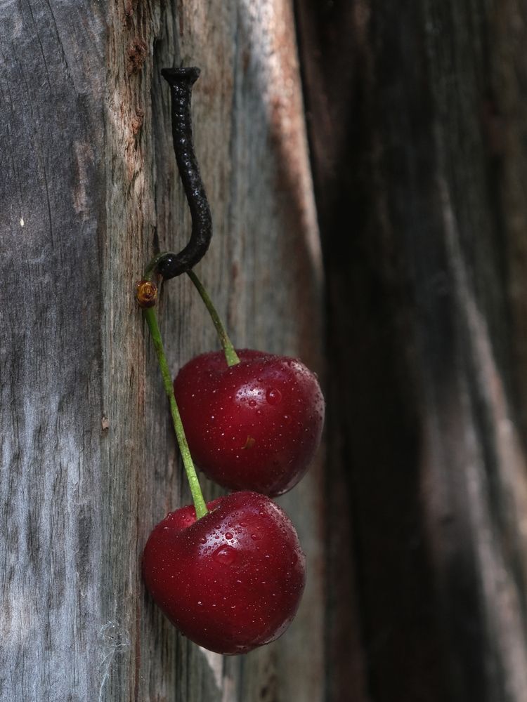 Photograph by Ирина Дегтярева