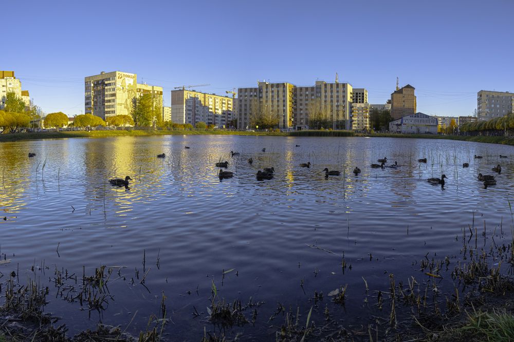 Photograph by Дмитрий Гривцов