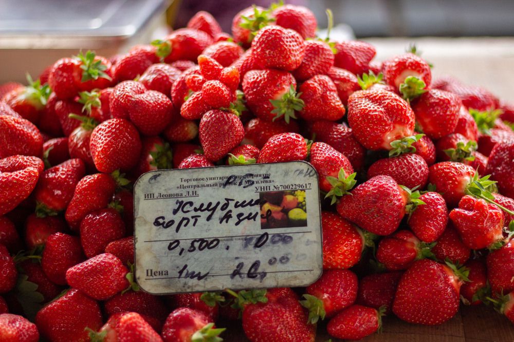 Photograph by Алексей Борисов