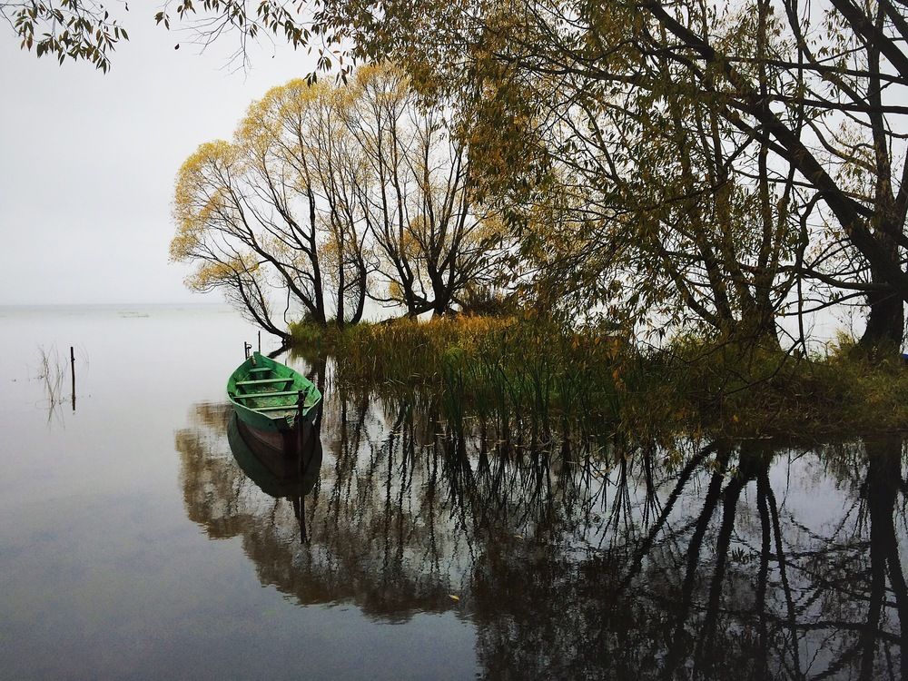 Photograph by Юлия Горчакова