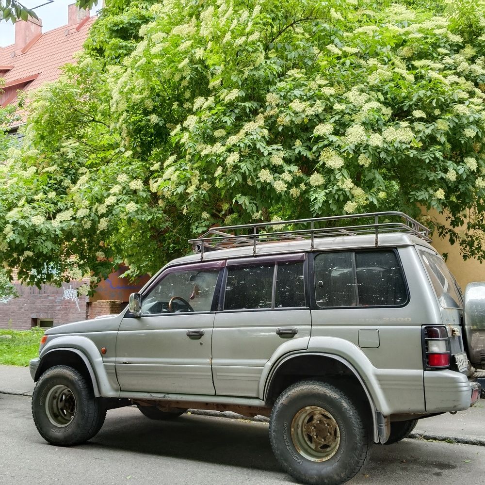 Photograph by Ирина Шведчикова