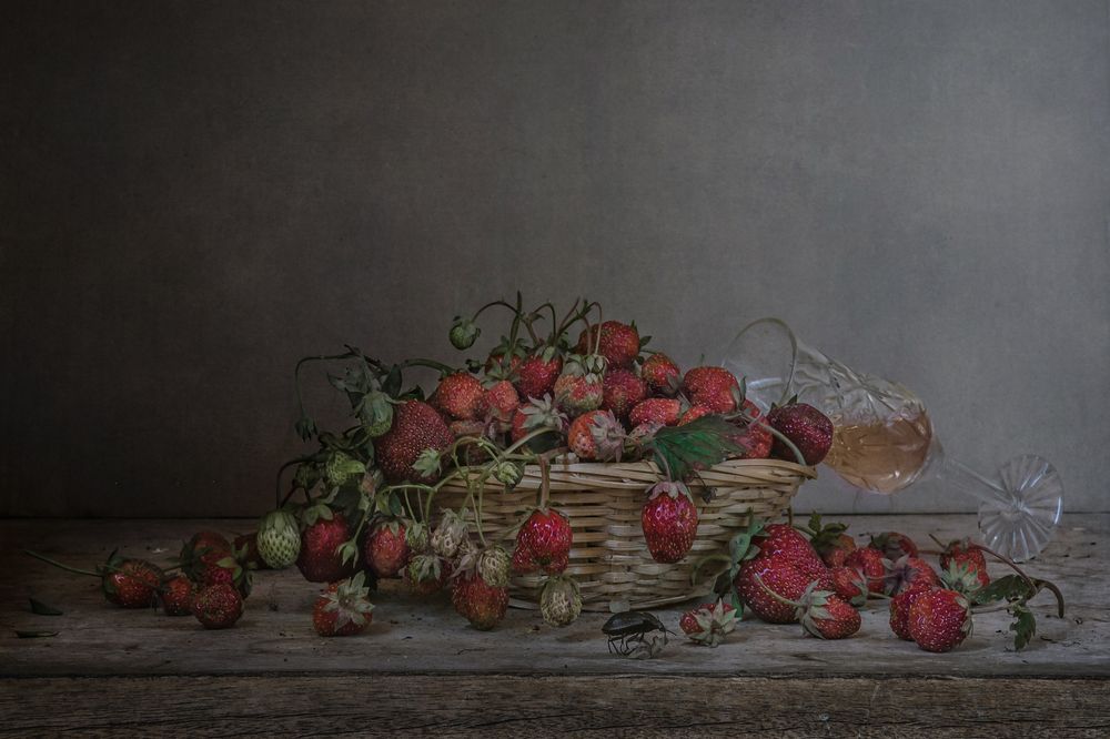 Фотография автора Анна Петина