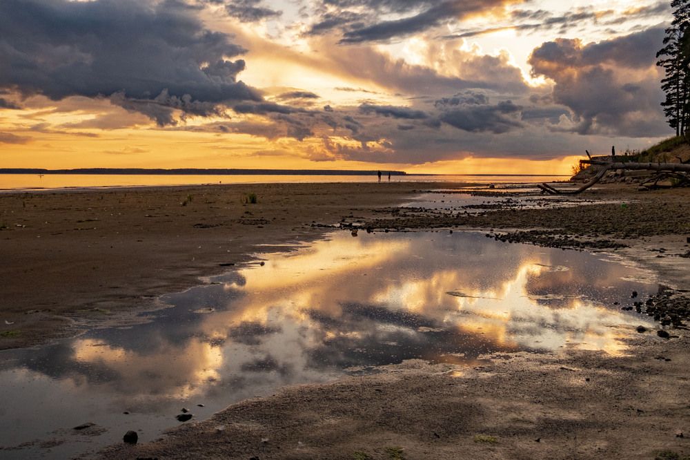 Photograph by Елена Маракулина