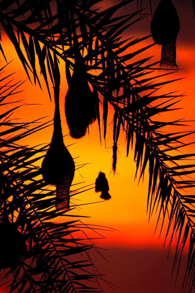 Фотография автора Arpit Dhore