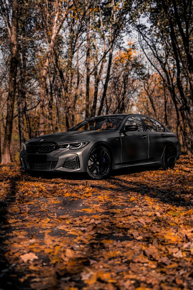 Фотография автора Никита Сагунов