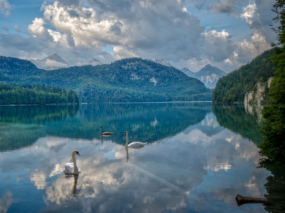 Лебединое озеро