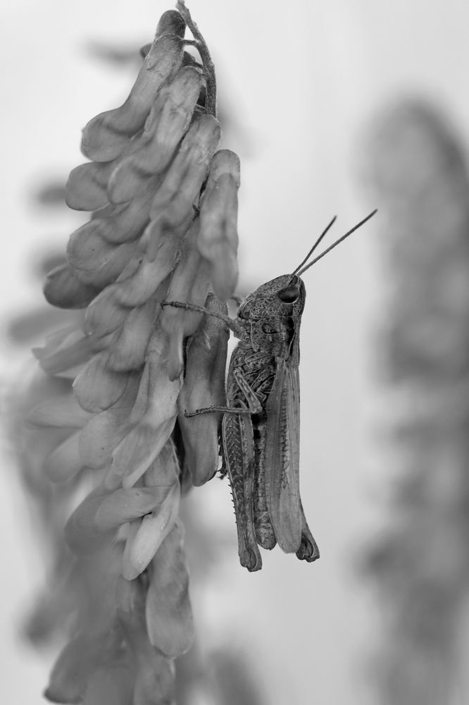 Photograph by Лапин Сергей