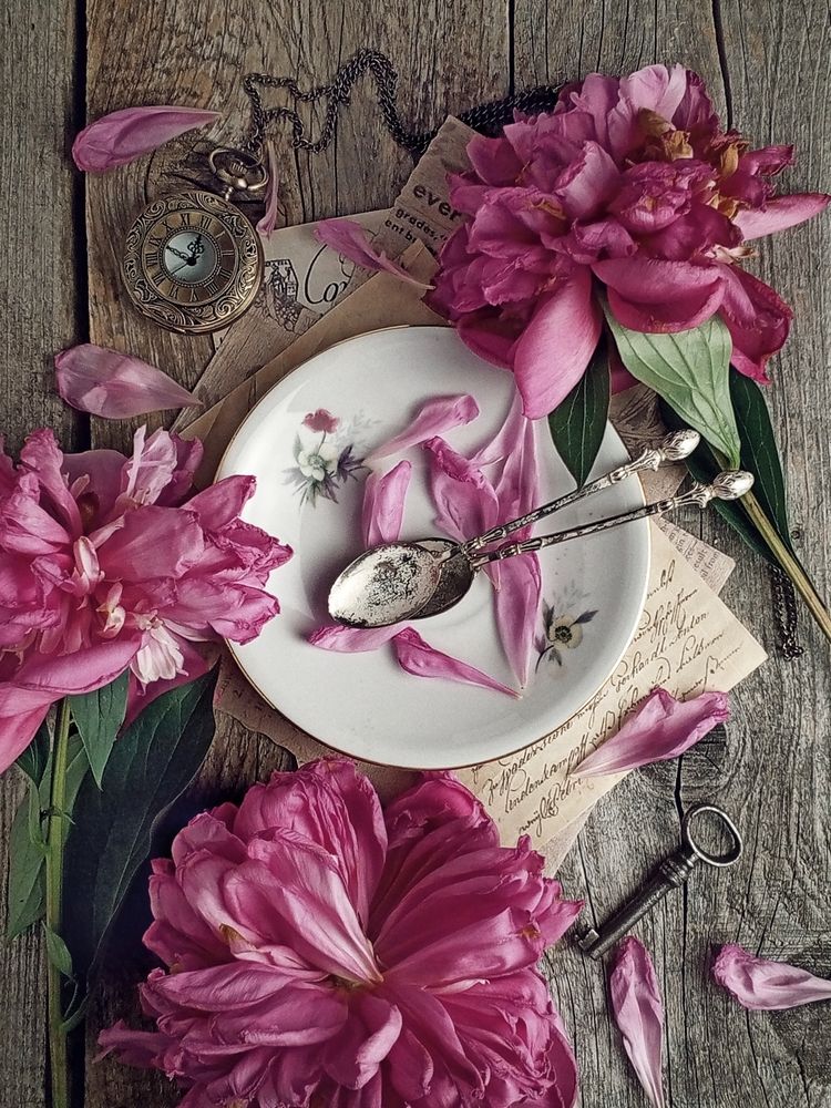 Photograph by Дина Полухина