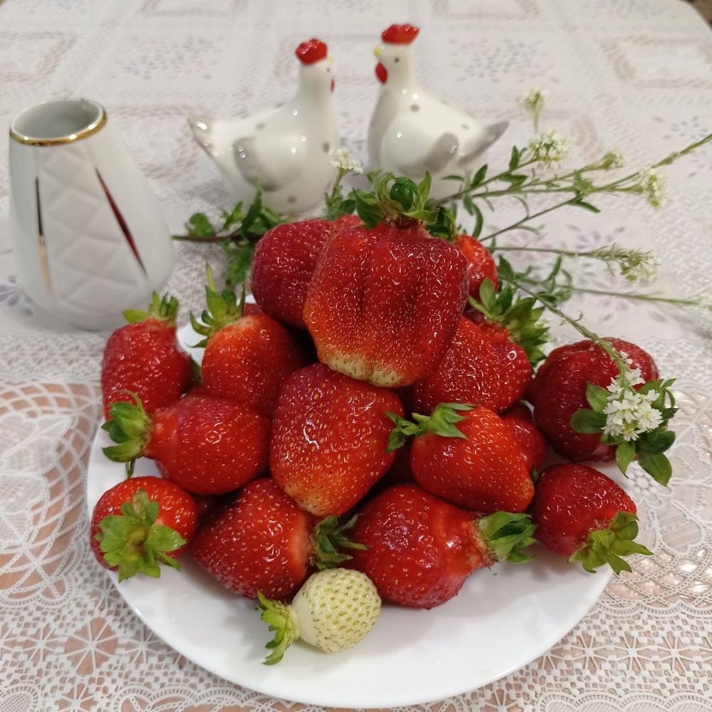 Photograph by Ирина Марченко