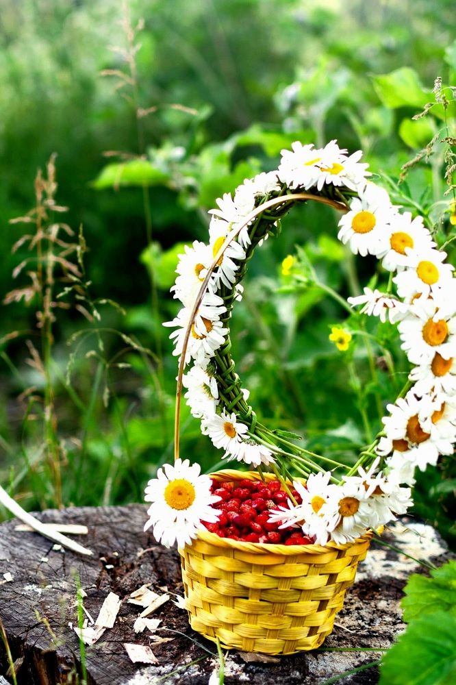 Photograph by Назмутдинова Сауия