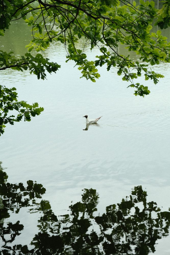 Photograph by Anastasia Vladimirovna