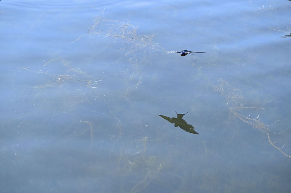 Photograph by Ольга Воронова