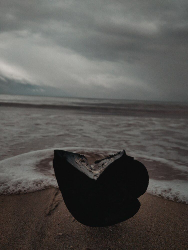Фотография автора Josua Ranulfo Bardon