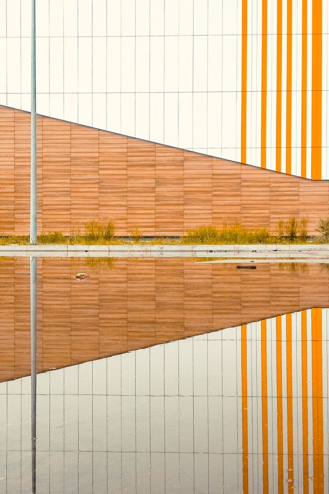 Photograph by Ирина Чиркина