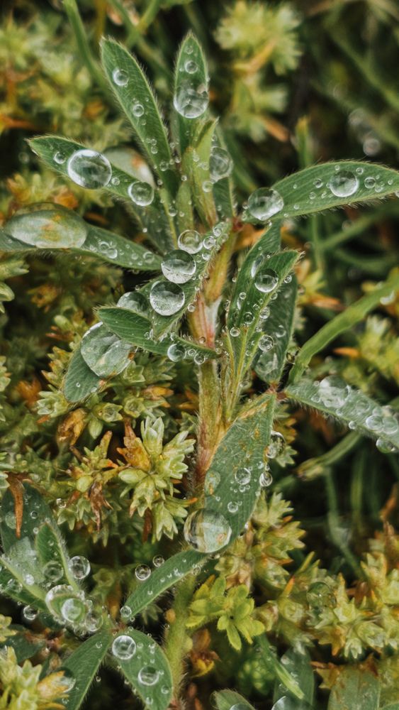 Фотография автора Ольга Рыняк