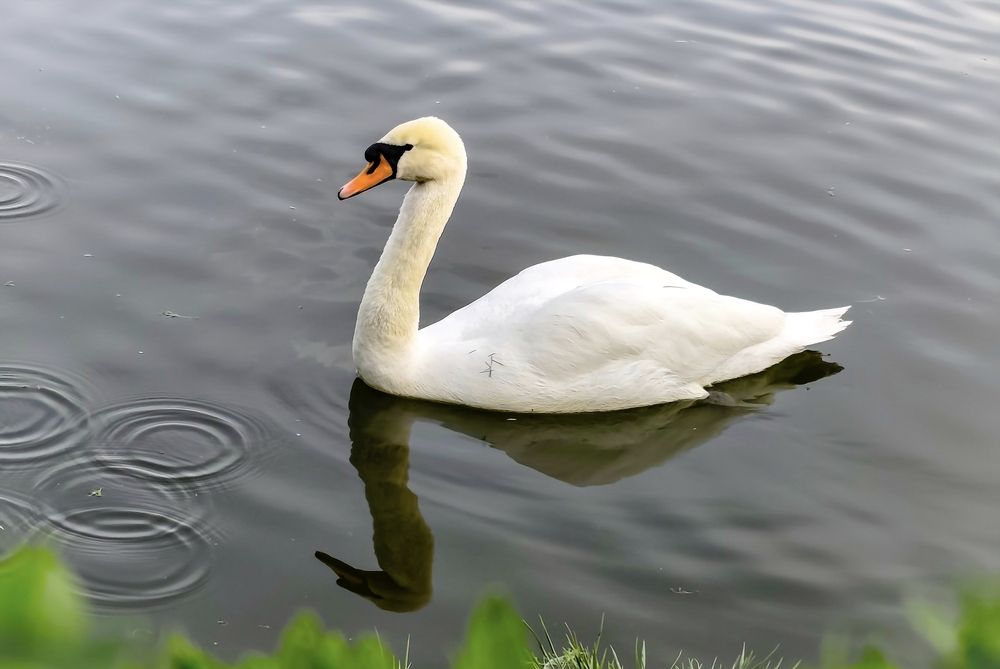 Photograph by Марина Бедрина