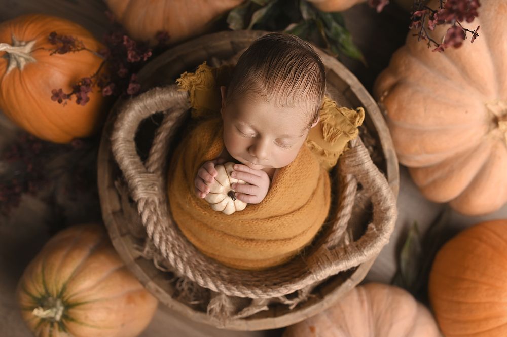 Photograph by Oksana Melinga