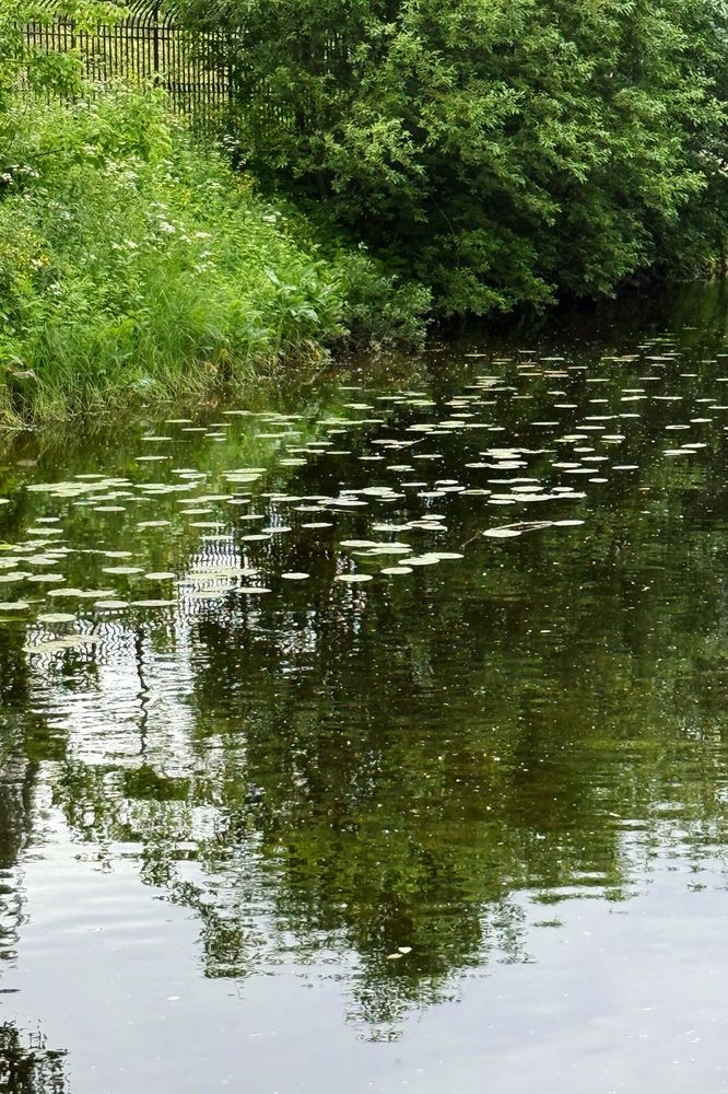 Photograph by Elena Savchuk