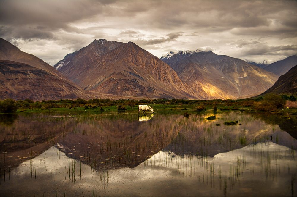 Photograph by Zubair Irshad