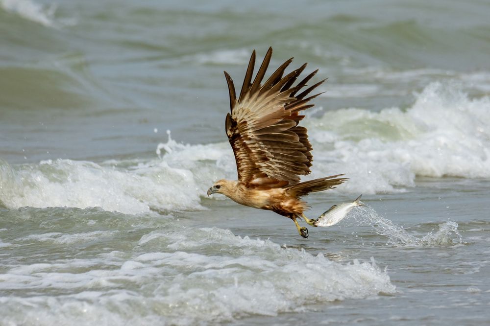 Photograph by Shehan Dondeenu