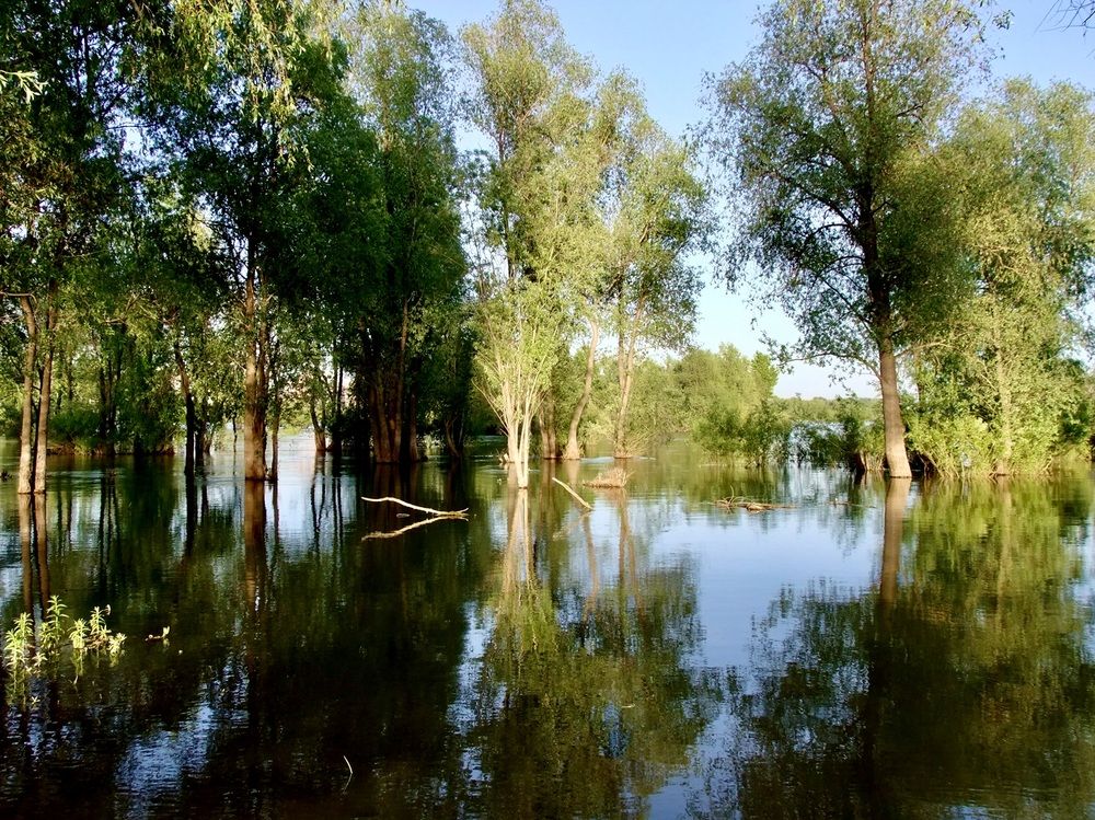 Photograph by Татьяна Шитлина