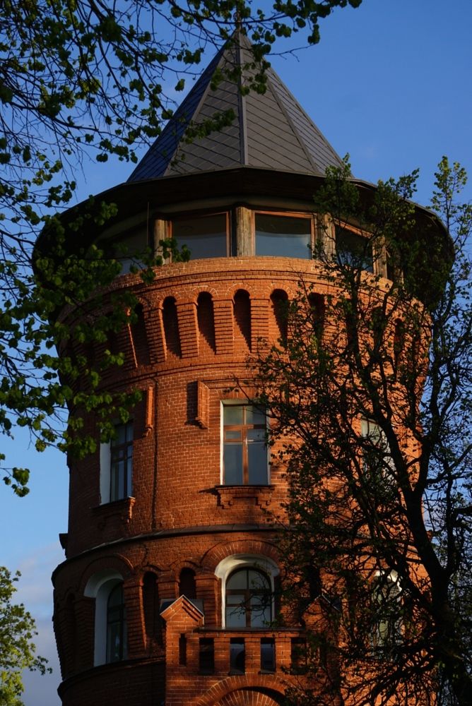 Фотография автора Светлана Егорова